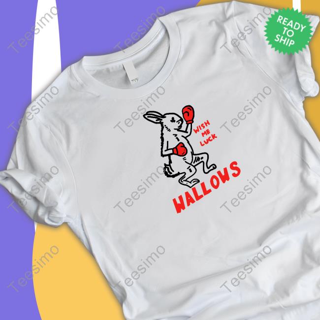 Wallows Wish Me Luck Sweatshirt